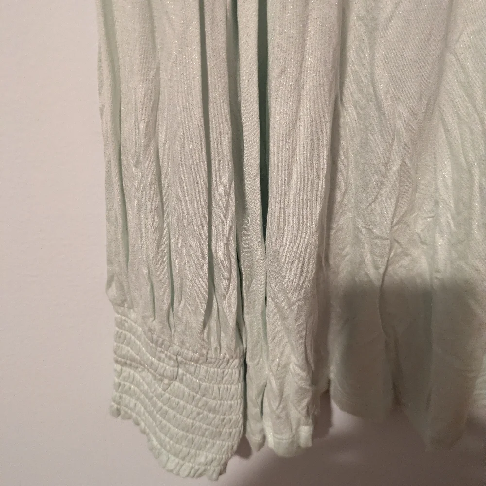 Lane Bryant Pale Green Sparkle Long Sleeve Smocked Cuff Top Size 18/20 or 2X